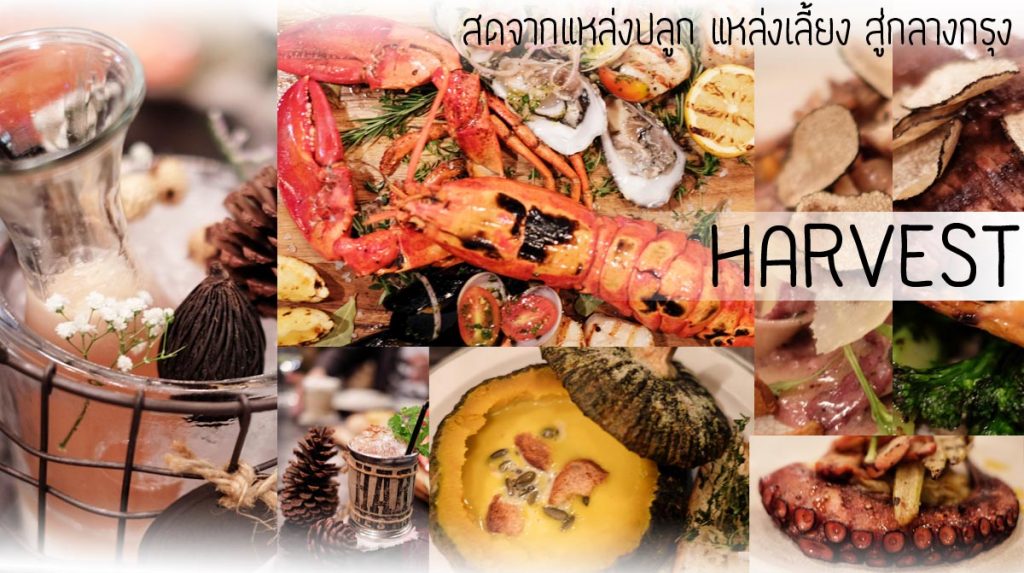HARVEST Restaurant เก็บเกี่ยววัตถุดิบคุณภาพ มาปรุงเป็นมื้อพิเศษให้คุณ กินดื่มในโรงนาสไตล์ยุโรปใจกลางกรุง